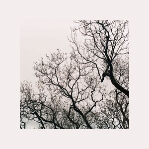 Diálogos de incómodo placer